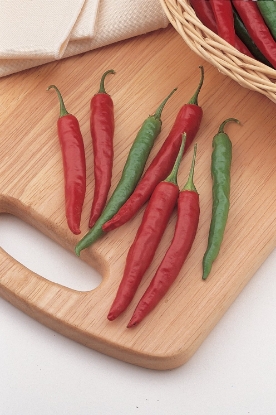 Picture of Chiang Rai Chilli Pepper